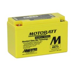 Battery: Motorcyle AGM 12V 100CCA